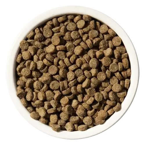 Dry cat food