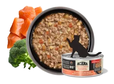 Wet cat food